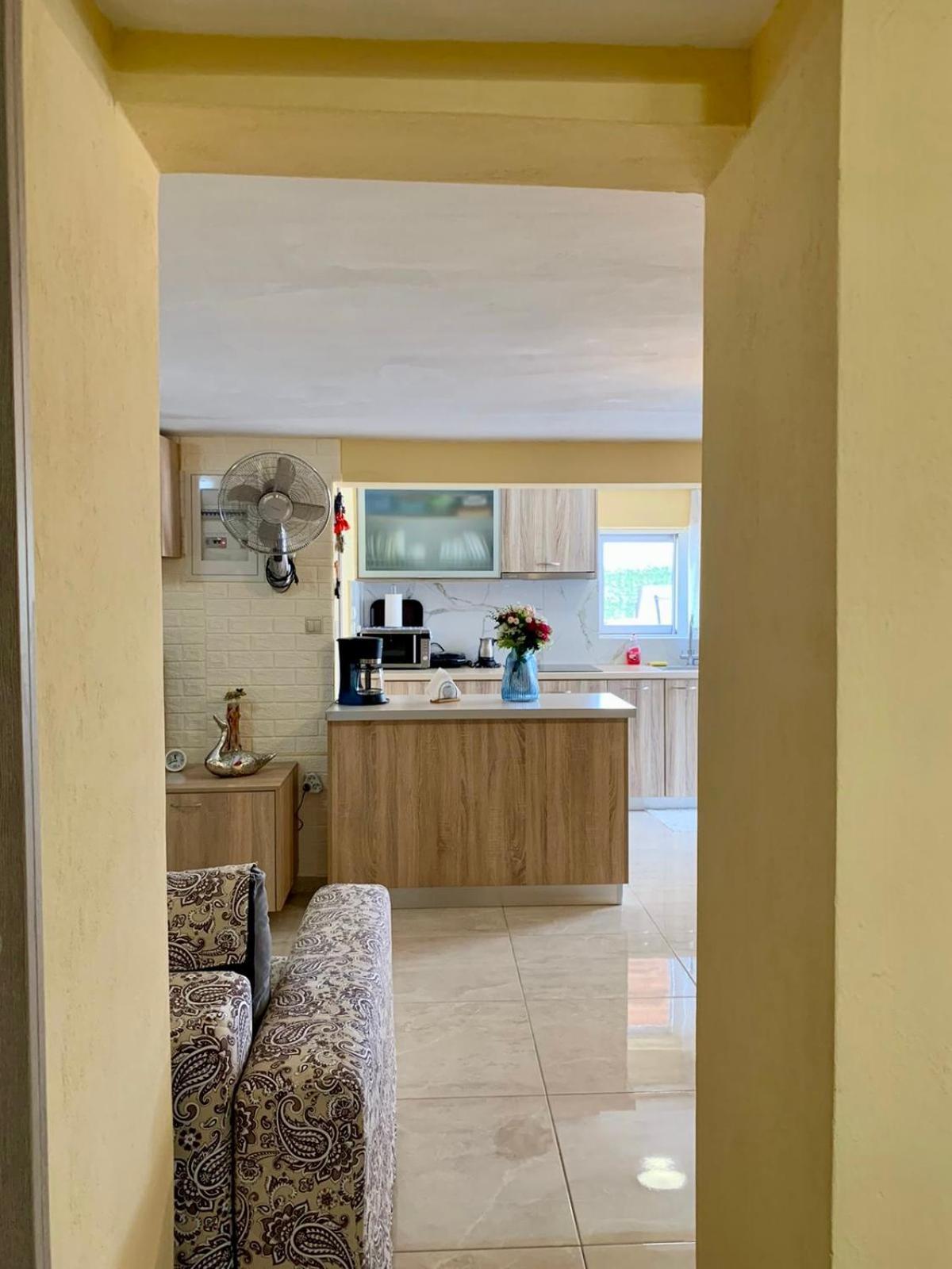 Sofia'S Seaview Villa Near Airport And Beach Artemida  Esterno foto